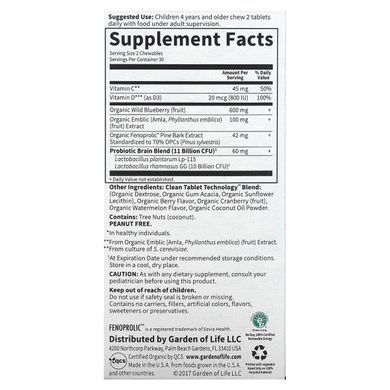 Memory and Brain Function Improvement in Children Garden of Life (Attention and Focus) 60 Chewable Tablets with Watermelon and Berry Flavor