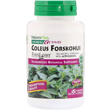 Форсколин Nature's Plus (Coleus Forskohlii) 125 мг 60 капсул купить в Киеве и Украине