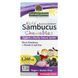 Дитячі жувальні таблетки з самбука, чорна бузина, Kid's Sambucus Chewables, Black Elderberry, Nature's Answer, 45 жувальних таблеток фото