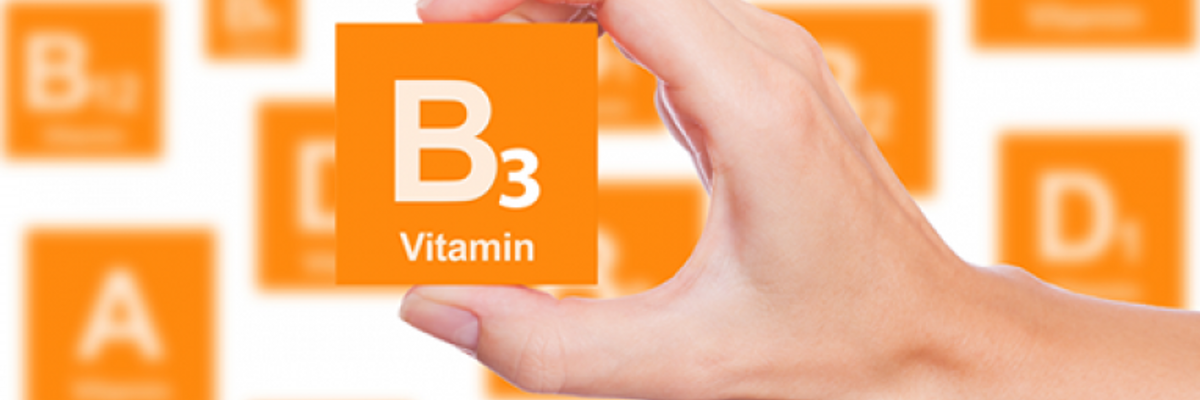 Витамин В3: показания к применению, польза, дозировка