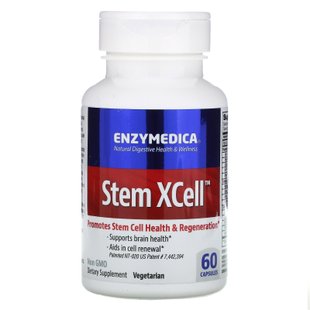 Ферменты для мозга, Stem XCell, Enzymedica, 60 капсул купить в Киеве и Украине