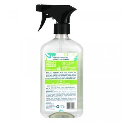 Aunt Fannies, Window and Glass Cleaning Solution with Vinegar, 16.9 fluid ounces (500 ml)