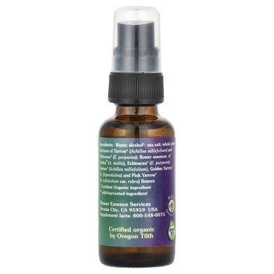 Настойка тысячелистника, Yarrow Environmental Solution Spray, Flower Essence Services, 30 мл купить в Киеве и Украине