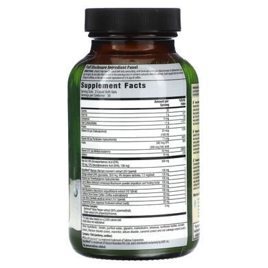 Irwin Naturals, Здоровий мозок, концентрація на весь день, 60 капсул із рідиною