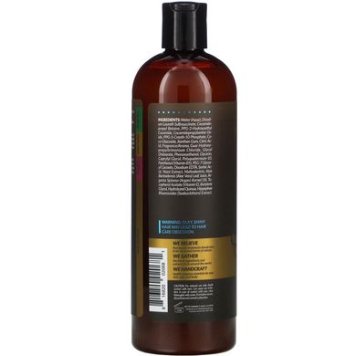 Шампунь для профілактики випадіння волосся Artnaturals (Argan Oil Shampoo Hair Loss Prevention Therapy) 473 мл