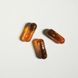 Antiparasitic blend of ozonated oils Cymbiotika (ParaX) 63 capsules