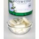 Босвеллия Swanson (Boswellia) 400 мг 100 капсул фото
