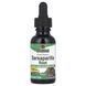 Sarsaparilla Alcohol-Free Natures Answer (Sarsaparilla) 2000 mg 30 ml