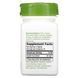 Отхаркивающее средство экстракт плюща Enzymatic Therapy (Ivy Extract) 50 мг 90 таблеток фото