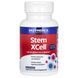 Ферменты для мозга, Stem XCell, Enzymedica, 60 капсул фото