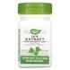 Отхаркивающее средство экстракт плюща Enzymatic Therapy (Ivy Extract) 50 мг 90 таблеток фото