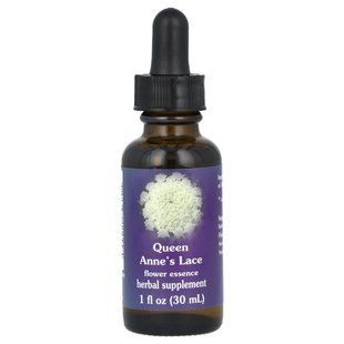 Flower Essence Services, Queen Anne's Lace, квіткова есенція, 30 мл (1 рідк. унція)