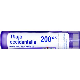 Туя западная 200 СК, Boiron, Single Remedies, 80 гранул купить в Киеве и Украине