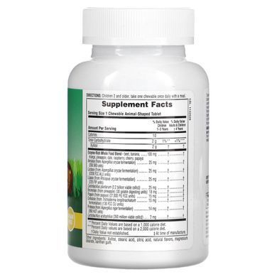 Мультивитамины для детей тропические фрукты Nature's Plus (Animal Parade Tummy Zyme with Active Enzymes Whole Foods and Probiotics) 90 конфет купить в Киеве и Украине