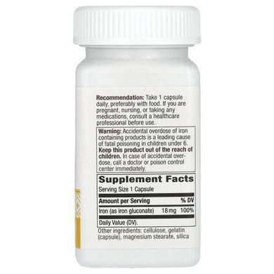 Железо хелатное Nature's Way (Iron) 18 мг 100 капсул купить в Киеве и Украине