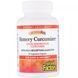 Curcumin for Memory Optimization Natural Factors 60 capsules