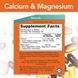 Кальцій і Магній Now Foods (Calcium & Magnesium 2: 1) 500/250 мг 100 таблеток фото