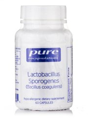 Лактобацилы Спорогенс Pure Encapsulations (Lactobacillus Sporogenes) 60 капсул купить в Киеве и Украине
