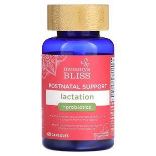 Mommy's Bliss, Postnatal Support, Lactation + Probiotics, 60 Capsules купить в Киеве и Украине