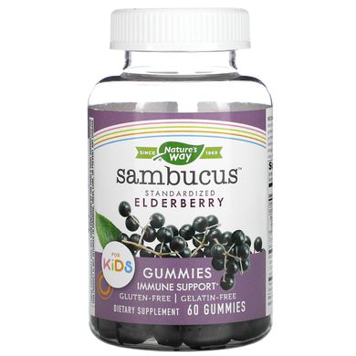 Екстракт бузини для дітей Nature's Way (Sambucus for Kids Standardized Elderberry Gummies) 60 жувальних таблеток