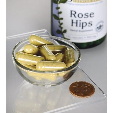 Плоди шипшини, Rose Hips, Swanson, 500 мг, 120 капсул