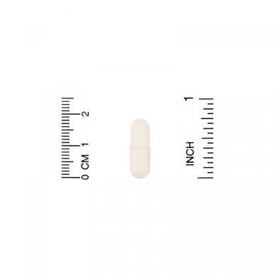 Биотин, Biotin, Lake Avenue Nutrition, 10000 мкг, 120 вегетарианских капсул купить в Киеве и Украине
