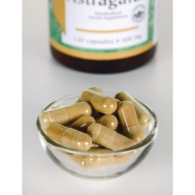Астрагал, Astragalus (Standardized), Swanson, 500 мг, 120 капсул