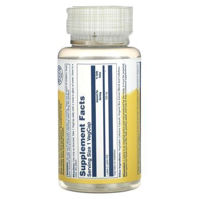 Лизин Solaray (L-Lysine) 500 мг 60 капсул купить в Киеве и Украине