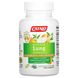 Catalo Naturals, Формула захисту легень з кверцетином та екстрактом зеленого чаю, 60 вегетаріанських капсул фото