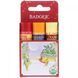 Подарунковий набір бальзамів для губ, червона коробка, набір з, Badger Company, 3 шт по 0,15 унції (4,2 г) фото