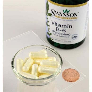 Вітамін В-6 Піродоксін, Vitamin B-6 Pyridoxine, Swanson, 100 мг, 250 капсул