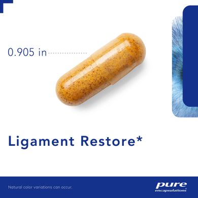Підтримка у здоровому стані сухожиль зв'язок та суглобів Pure Encapsulations (Ligament Restore) 120 капсул