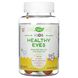 Витамины для глаз для детей от 2 лет вкус тропических фруктов Nature's Way (Healthy Eyes) 60 жевательных конфет фото