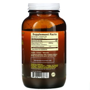 Чага, Integrity Extracts Chaga, HealthForce Superfoods, 150 г купить в Киеве и Украине