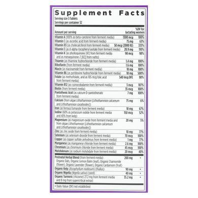Мультивитаминный комплекс постнатальный New Chapter (Postnatal multivitamin) 96 таблеток купить в Киеве и Украине