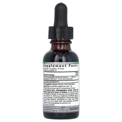 Extract of Yohimbe Bark without Alcohol, 1000 mg, Yohimbe Bark, Natures Answer, 30 ml.