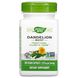 Корень одуванчика, Dandelion, Nature's Way, 525 мг, 100 вегетарианских капсул фото