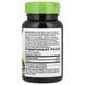 Активированный уголь Nature's Way (Charcoal Activated) 560 мг 100 капсул фото