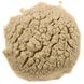 Кордицепс военный, сертифицированный органический грибной порошок, Exploding Buds, 120 г фото