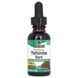 Extract of Yohimbe Bark without Alcohol, 1000 mg, Yohimbe Bark, Natures Answer, 30 ml.
