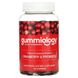 Клюква и пробиотики вкус клюквы Gummiology (Cranberry & Probiotic Gummies) 90 вегетарианских жевательных таблеток фото