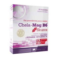 Chela-Mag B6 Skurcz OLIMP 60 caps купить в Киеве и Украине