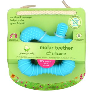 Молярный прорезыватель, 12+ месяцев, голубой, Molar Teether, 12+ Months, Aqua, Green Sprouts, 1 прорезыватель купить в Киеве и Украине