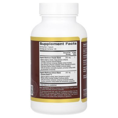 MushRex Plus Full-Spectrum Mushroom Complex Certified Organic Immune Assist Micron