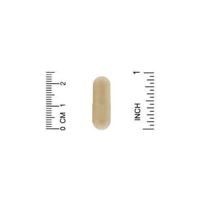 Траметес кольоровий California Gold Nutrition (Fungiology Full-Spectrum Turkey Tail) 90 капсул