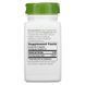 Inner bark, 545 mg, 100 vegetarian capsules