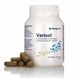 Витамины для поддержки кровеносных сосудов ВариСол Metagenics (VariSol) 60 таблеток фото