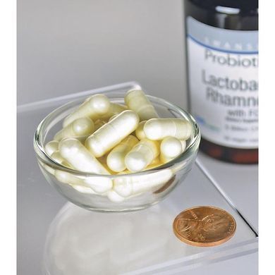 Лактобактерии Рамнозус с ФОС Swanson (Lactobacillus Rhamnosus with FOS) 5 миллиардов КОЕ 60 капсул купить в Киеве и Украине