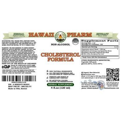Hawaii Pharm Cholesterol Formula Alcohol-Free 120ml