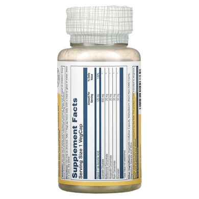 Мега Кверцетин Solaray (Mega Quercetin) 600 мг 60 вегетаріанських капсул